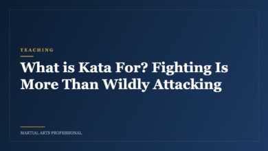 What is Kata For? Fighting Is More Than Wildly Attacking