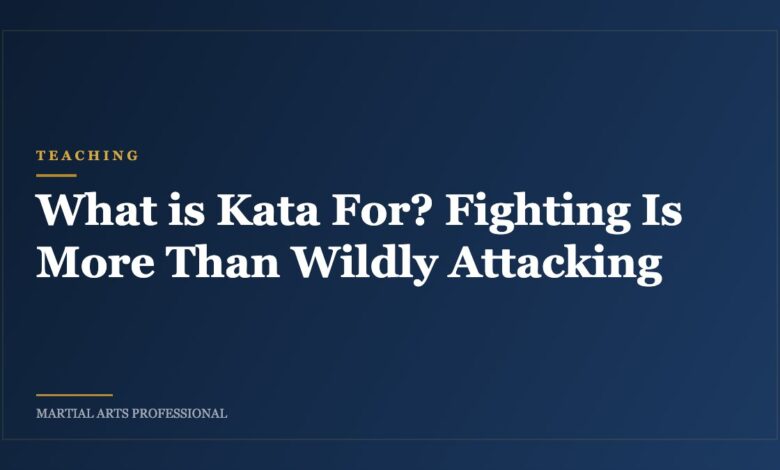 What is Kata For? Fighting Is More Than Wildly Attacking