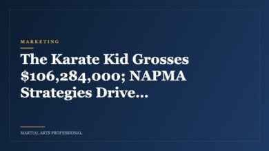 The Karate Kid Grosses $106,284,000; NAPMA Strategies Drive Record Numbers Into Martial Arts Schools.